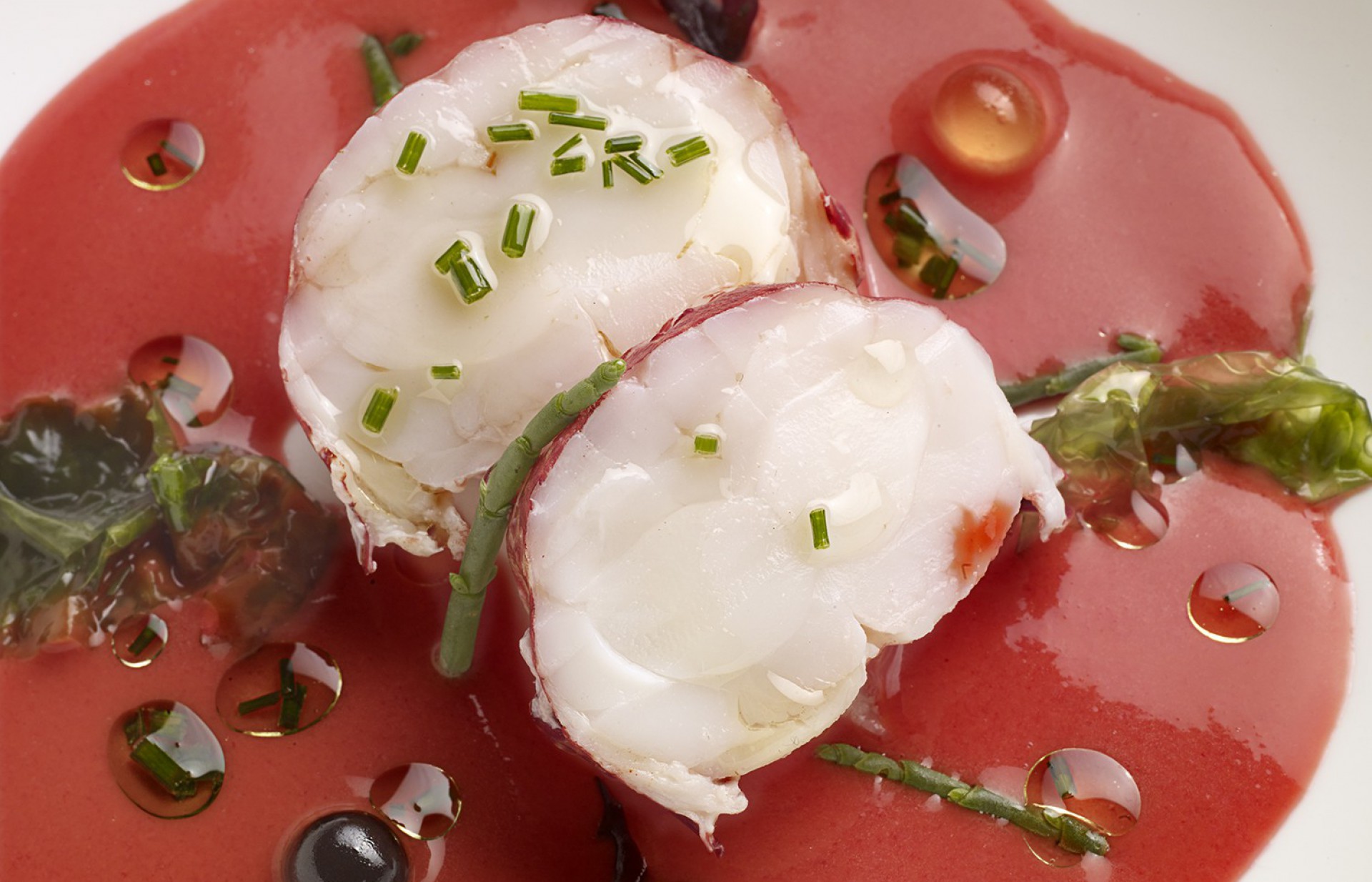 Bogavante sobre gazpacho de remolacha